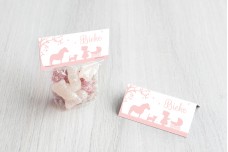 Meisje met kinderwagen Meisje met kinderwagen